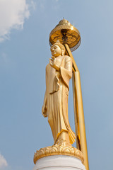 Fototapeta na wymiar Standing buddha in Thailand