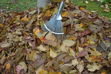 Gartenarbeit