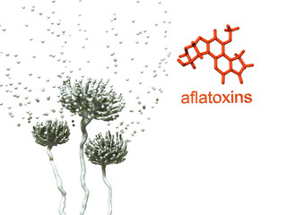 Aflatoxins - obrazy, fototapety, plakaty