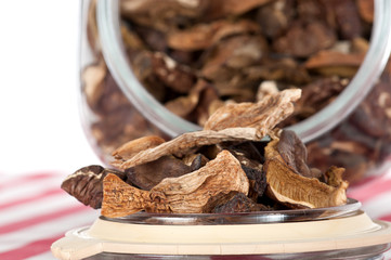 Getrocknete Waldpilze