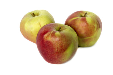 juicy red and yellow apples on  white background