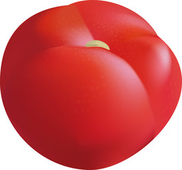 Аппетитный помидор без хвостика