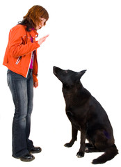 woman is dog training
