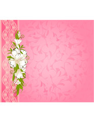 lace ornaments and flowers. Vector