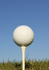 Golf Ball on a wooden tee