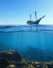 Obraz premium Collage underwater