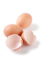 Brown eggs and egg shell, white background