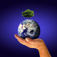 Earth with tree in hand