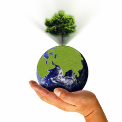 Earth with tree in hand