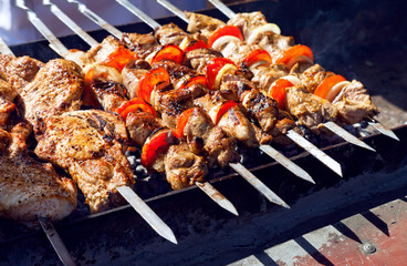 Juicy slices of meat with sauce prepare on fire (shish kebab).