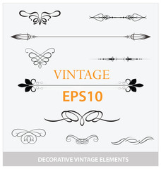 vintage decorative elements big set