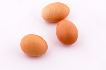 tree eggs