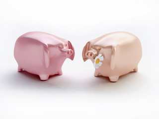 Love Concept with Toy Pigs