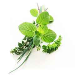 Herb Series - Mixed Herbs