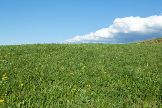 Wiese mit Quellwolken