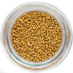 mustard seeds