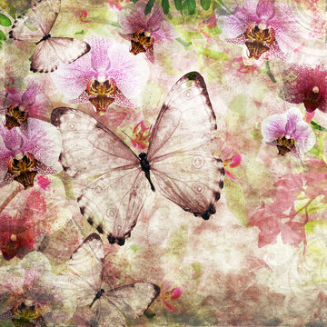Butterflies and orchids flowers pink background  ( 1 of set)