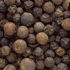 iclose up shot of dried pepper