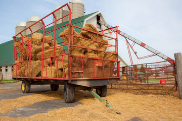 Fototapeta premium Farm Wagon with Bales of Straw