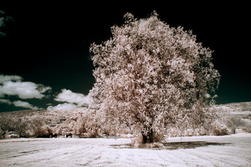 paese campagna infrarosso infrared © marcodeepsub
