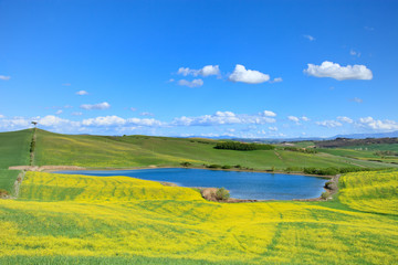 Naklejka premium Tuscany, Crete Senesi landscape, Italy. Small lake green yellow