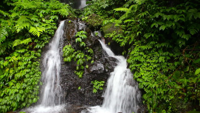 Falls in jungle on island Bali