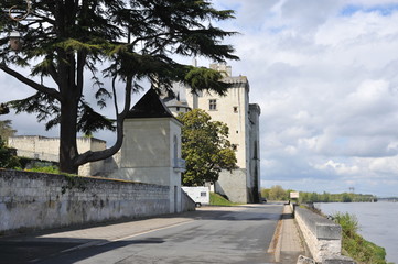 Chateau Montsoreau 2