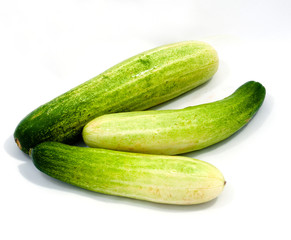 Cucumber