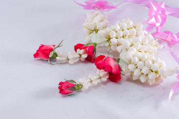 Flowers on a white background.