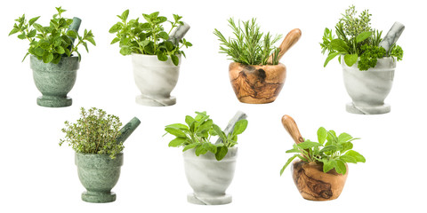 Set Of Garden Herbs