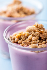 Bilberry Yogurt with Granola