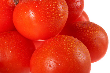 tomatoes, tomato,