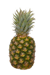 Fototapeta premium Pineapple