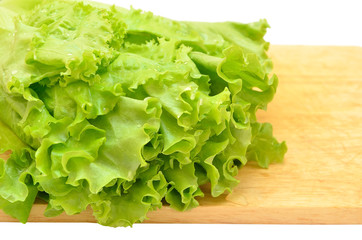 Fresh leaves of lettuce