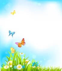 Peel and stick wall murals Butterfly Summer vector background