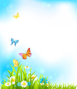 Summer vector background