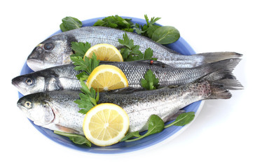 Fresh fishes with lemon and parsley on plate isolated on white