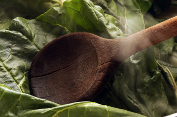 Bietola Chard Acelga 莙薘菜