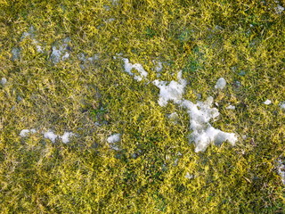 der letzte Schnee