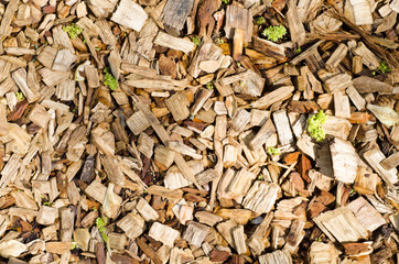 Bark Chip Background