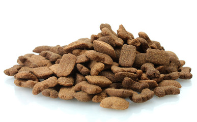 dry dog food isolated on white