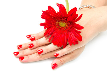 mani di donna con smalto rosso