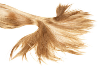 Fototapeta premium healthy hair