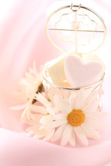 Spring flower, daisy and Marshmallow