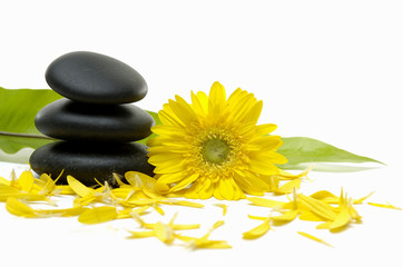 zen pebbles and green banana leaf with flower petals
