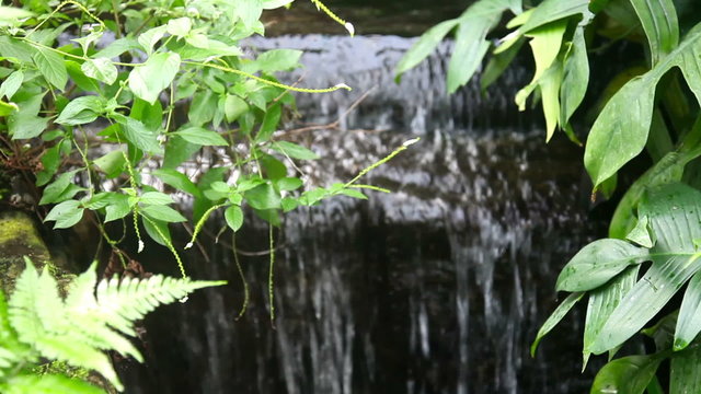 Spring stream