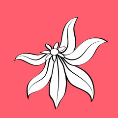 Decorative flower, element for design