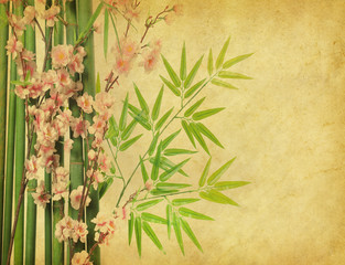Fototapety  kwiat bambusa i śliwy na starej fakturze papieru antycznego