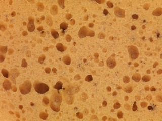 Environmental Cleaning Products