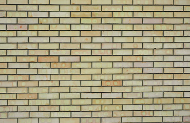 Fototapeta premium Ceglana ściana